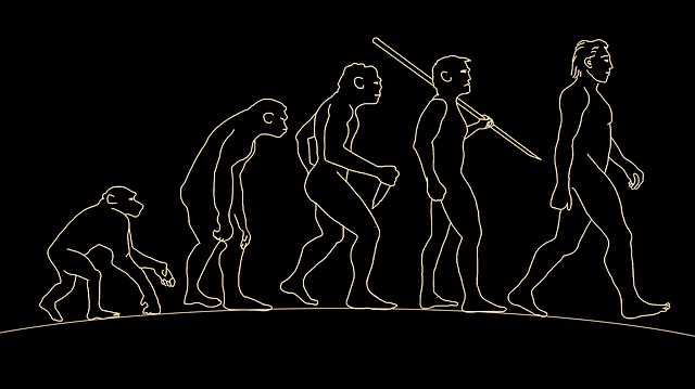 evoluce člověka
